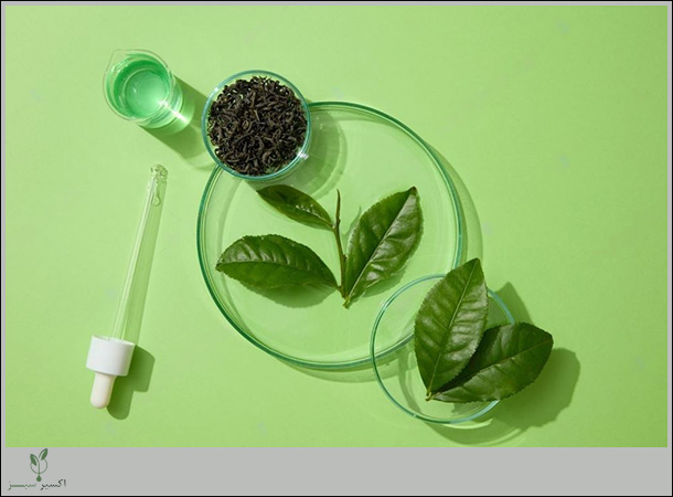 عصاره گیاهی چای سبز